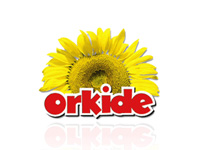 orkide logo